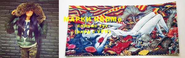 PSILOCYBIN Михайлов